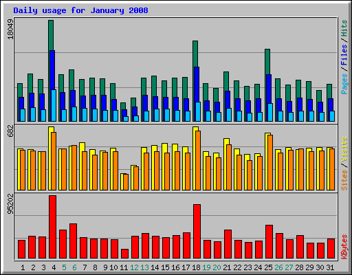 Daily usage for January 2008