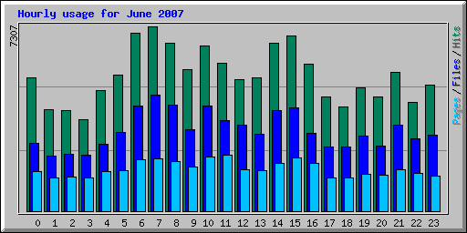 Hourly usage for June 2007