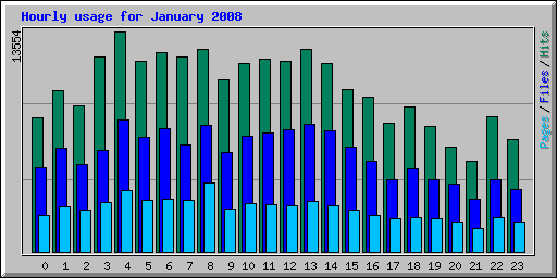 Hourly usage for January 2008
